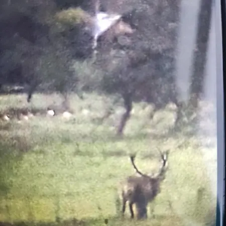 Casa vacanze федорчуків за рікою