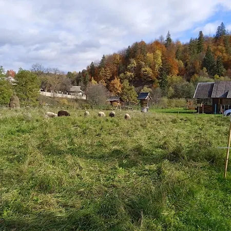 федорчуків за рікою * Sheshory