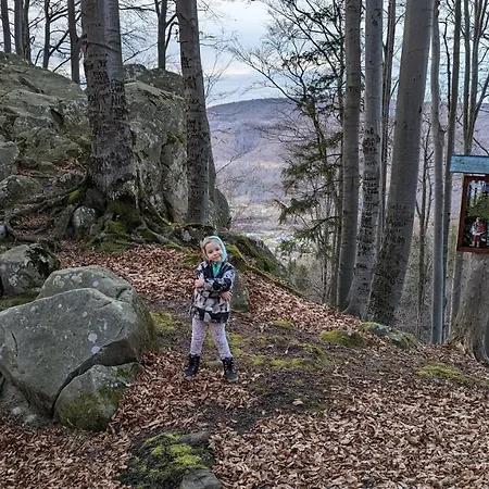 Ferienhaus федорчуків за рікою