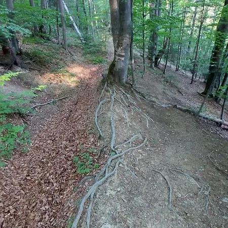 федорчуків за рікою