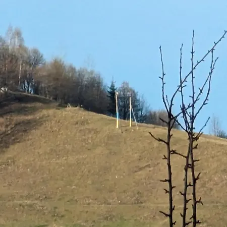 федорчуків за рікою Ferienhaus