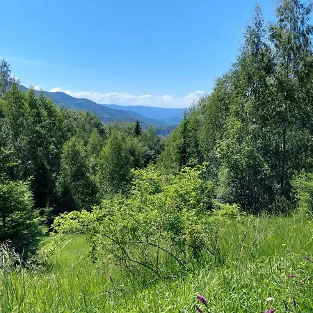 Ferienhaus федорчуків за рікою Scheschory