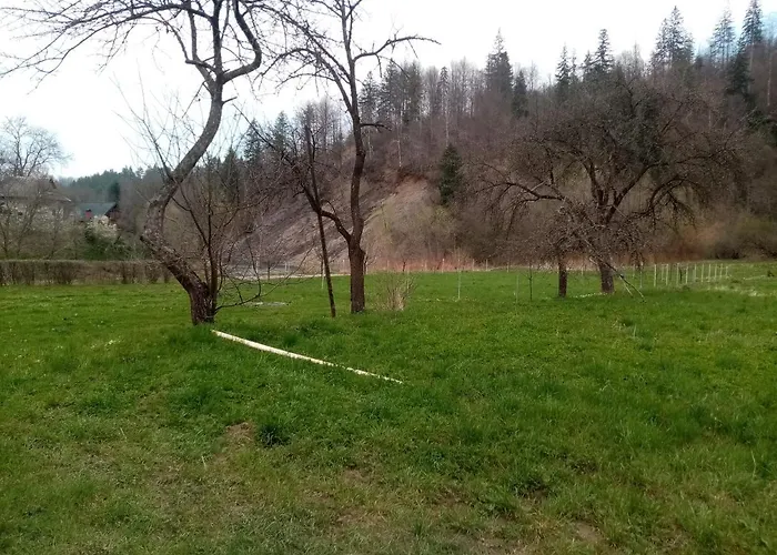 度假居 федорчуків за рікою