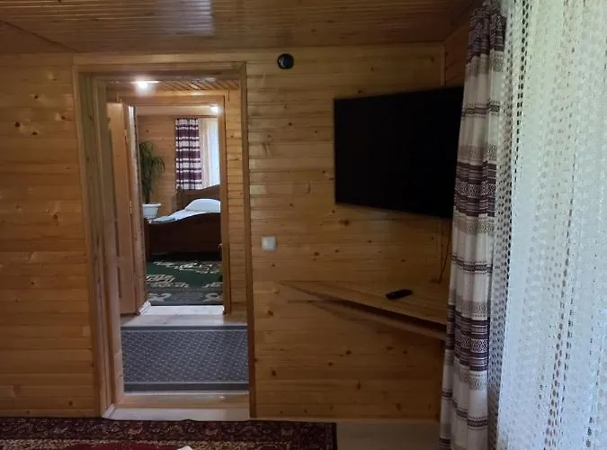федорчуків за рікою * 舍绍里